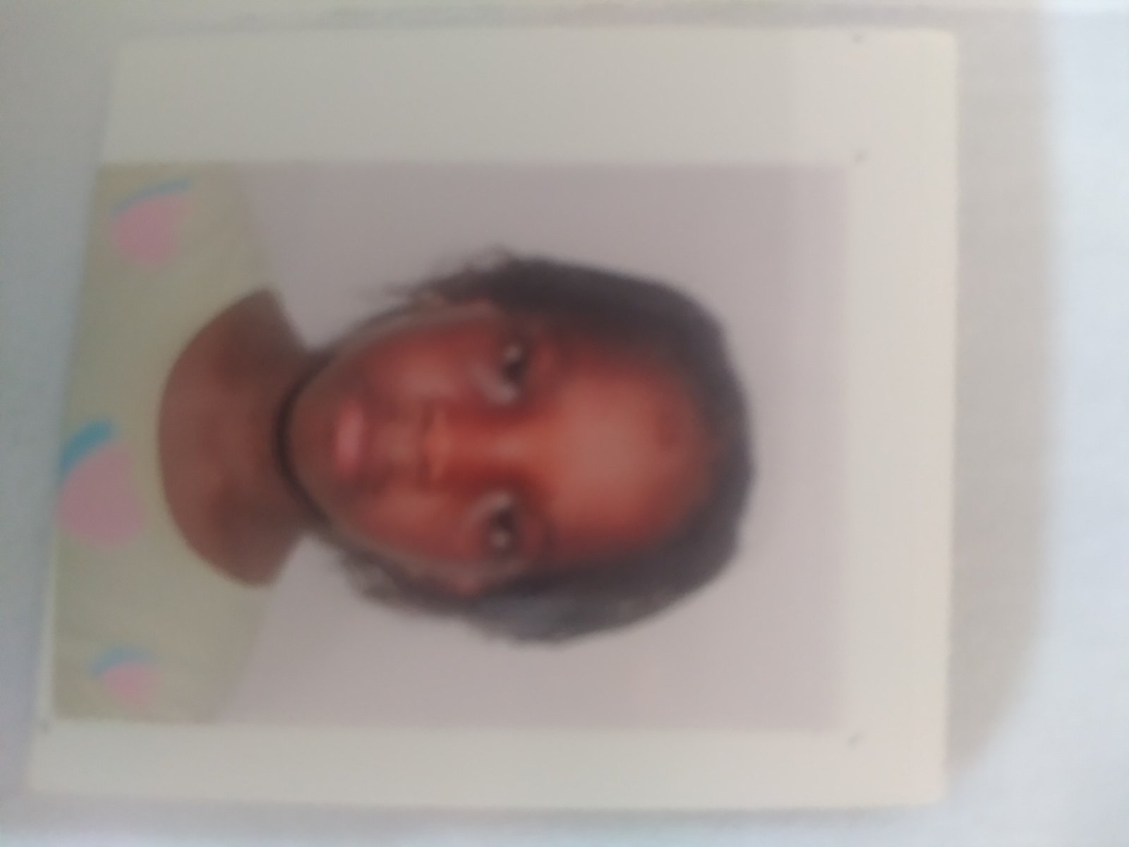 FL&Aacute;VIA SEIDEI GOMES 