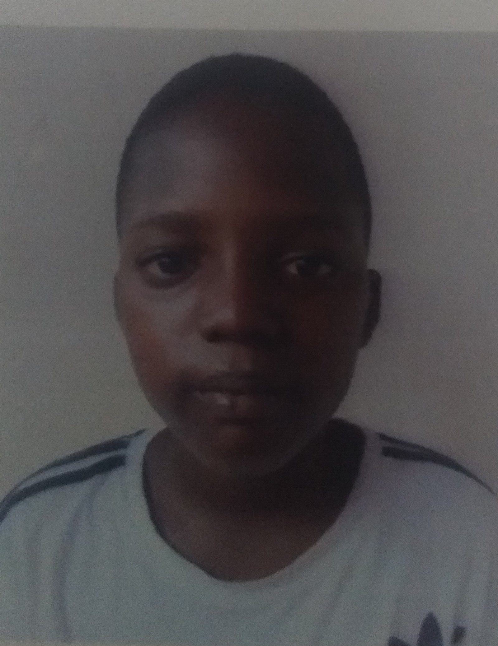 SIRO  JOS&Eacute; QUAD&Eacute; BRAND&Atilde;O 