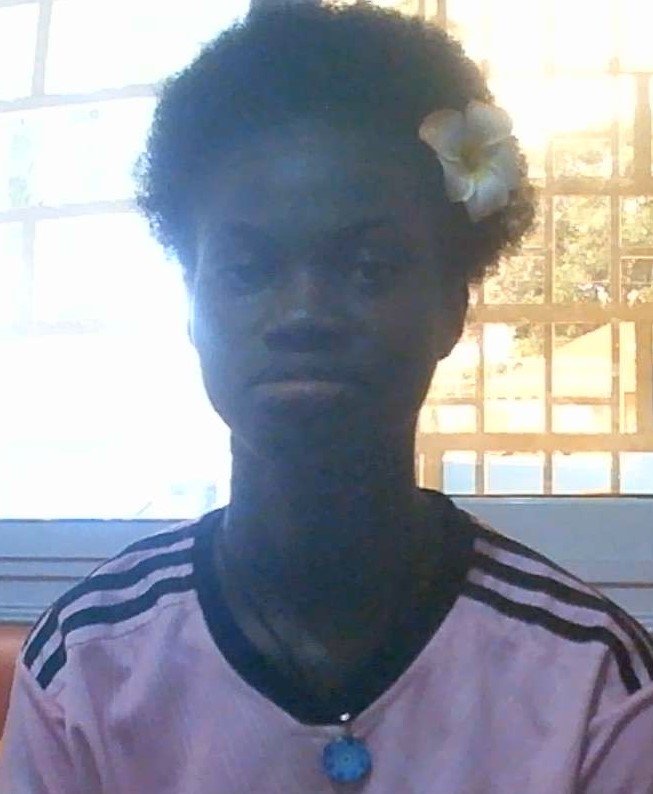 ALEXANDRINA RIBEIRO DOS SANTOS 