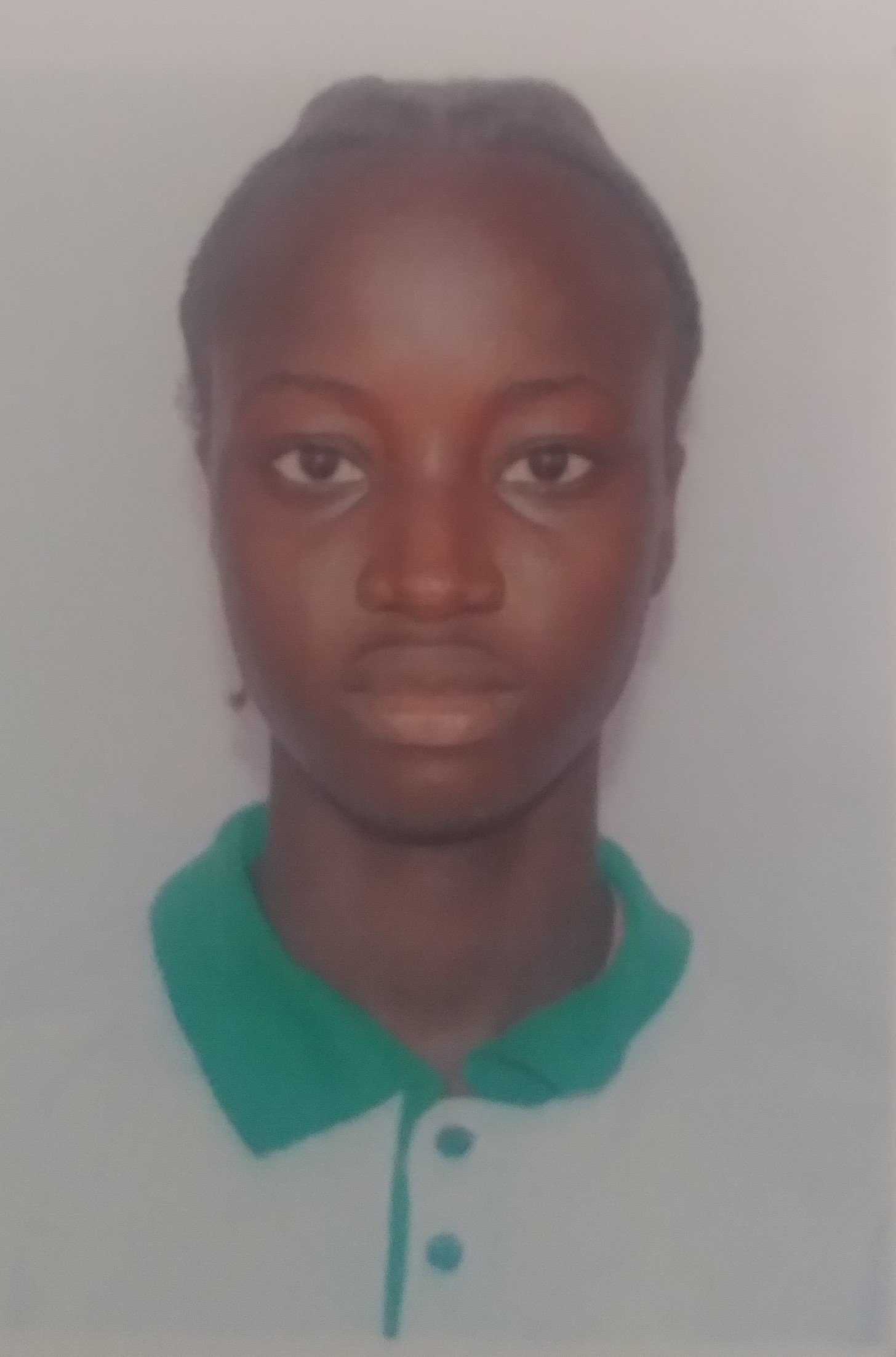 LUDIMILA SULITA CRUZ PINHEL