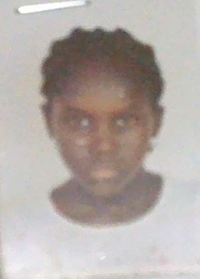 Adina Mendes Dj&uacute;