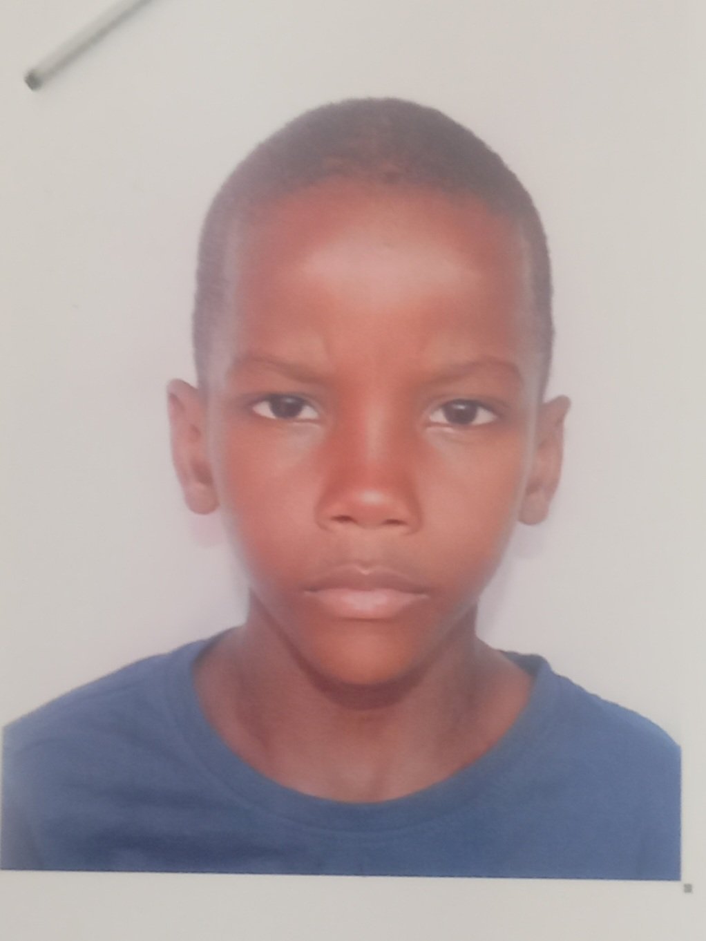 Secuna Fall Camar&aacute;