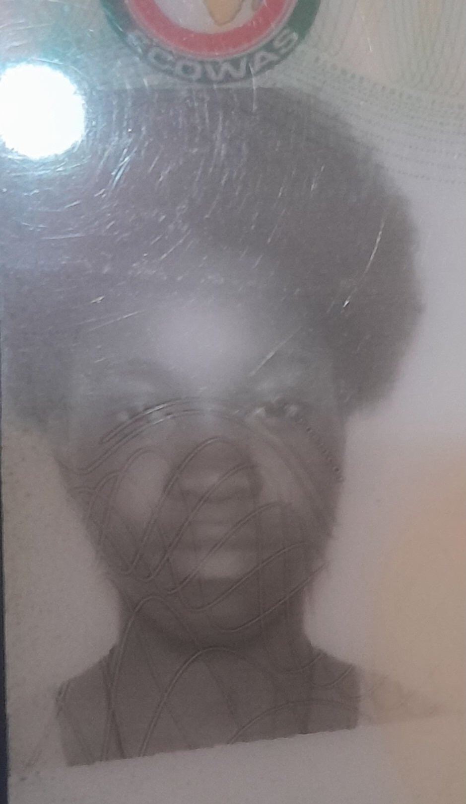 Natalia Faustino Mendes