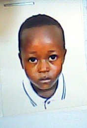 Nawini Isulino B. Mendon&ccedil;a