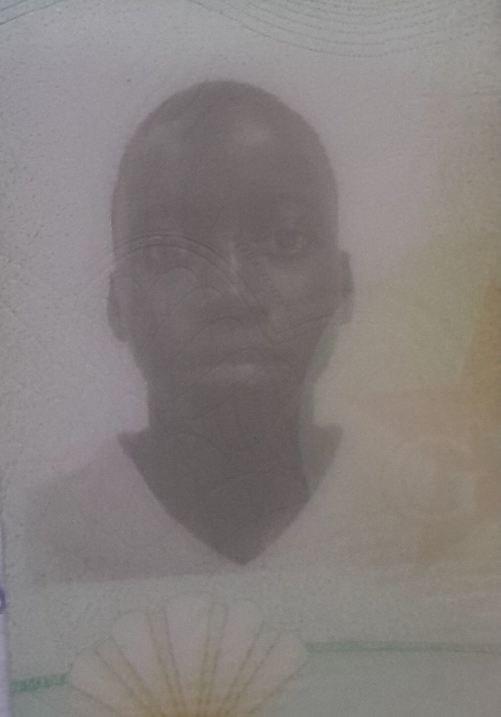 Julio Abinand&eacute; Ferreira