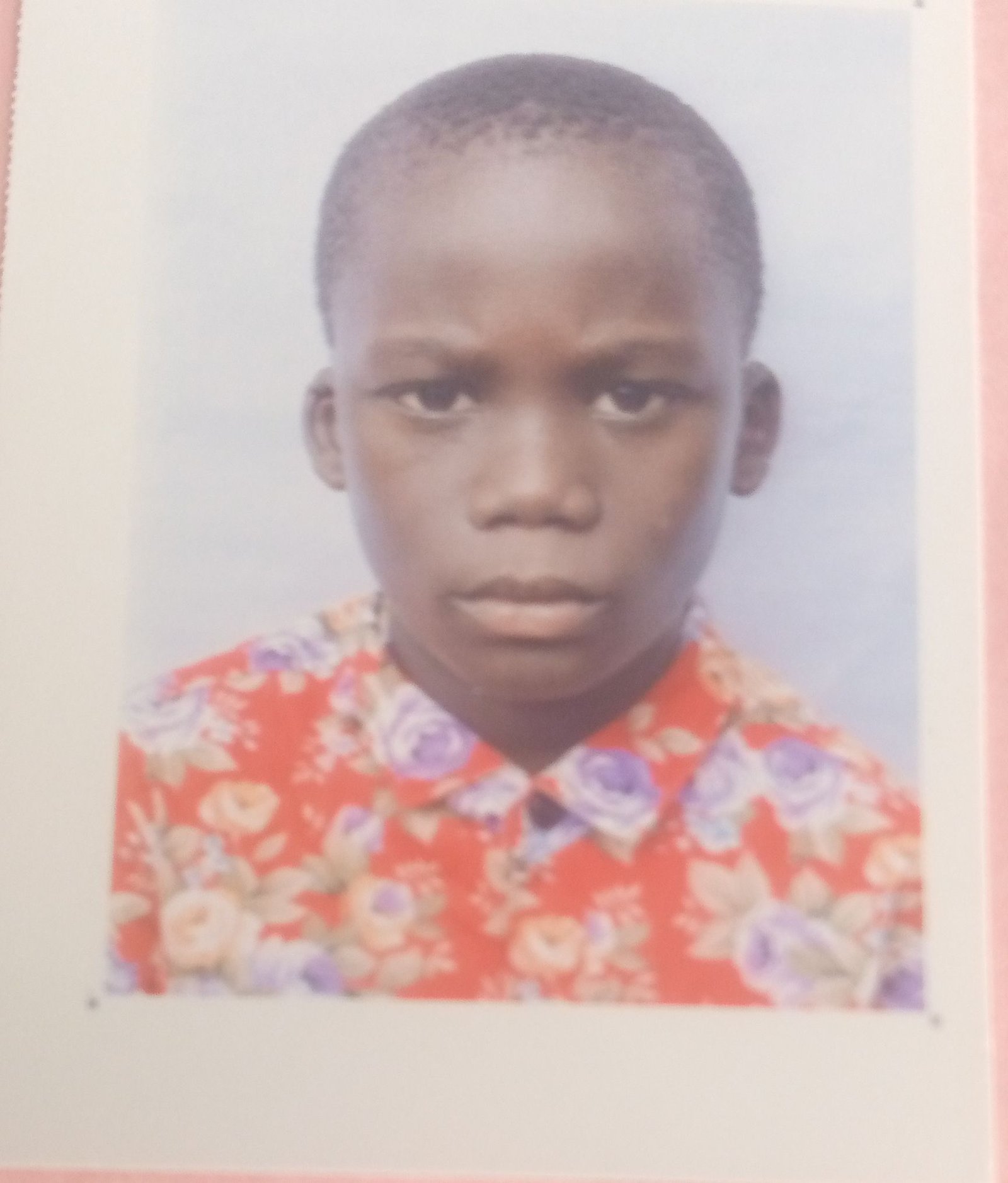 JOAO DELFIM MINHA SANHA