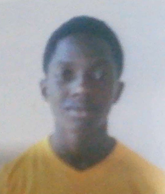 ELIZANDRO PEREIRA S&Aacute; 