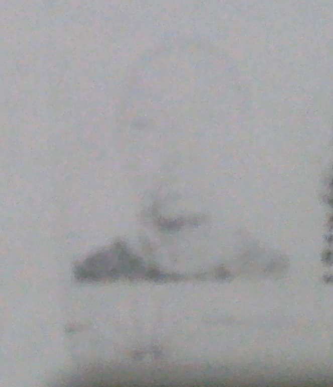 MARIA JO&Atilde;O BICO FABACAR ORENO