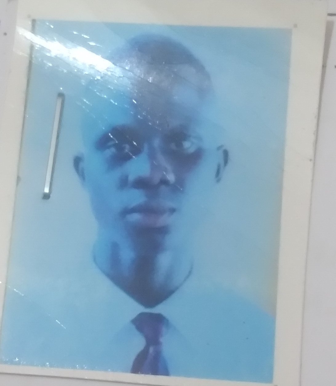 VENICIO MARCELINO PEREIRA