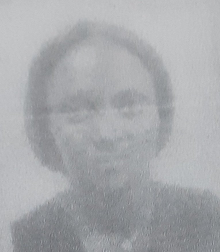 ALICE COF&Aacute;  VIEIRA