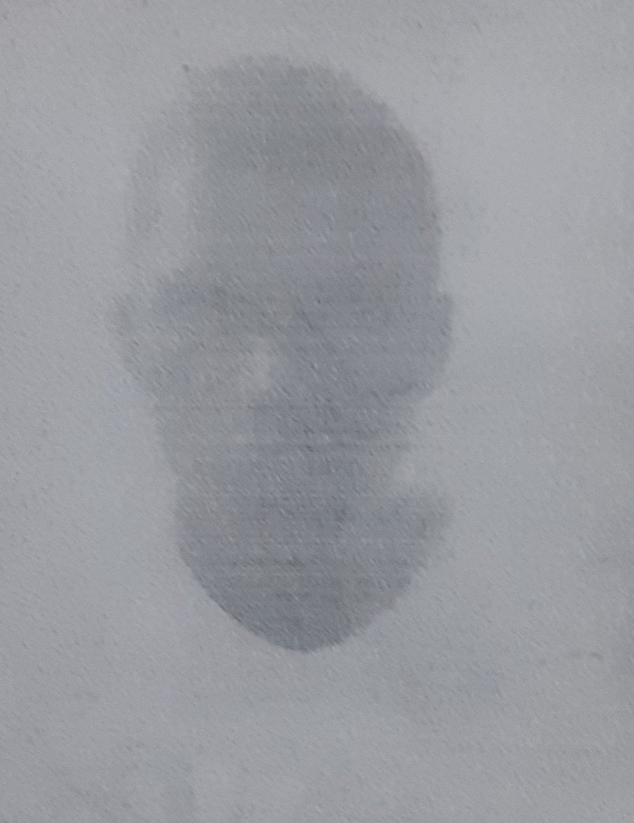 AMAD&Uacute; BALD&Eacute;