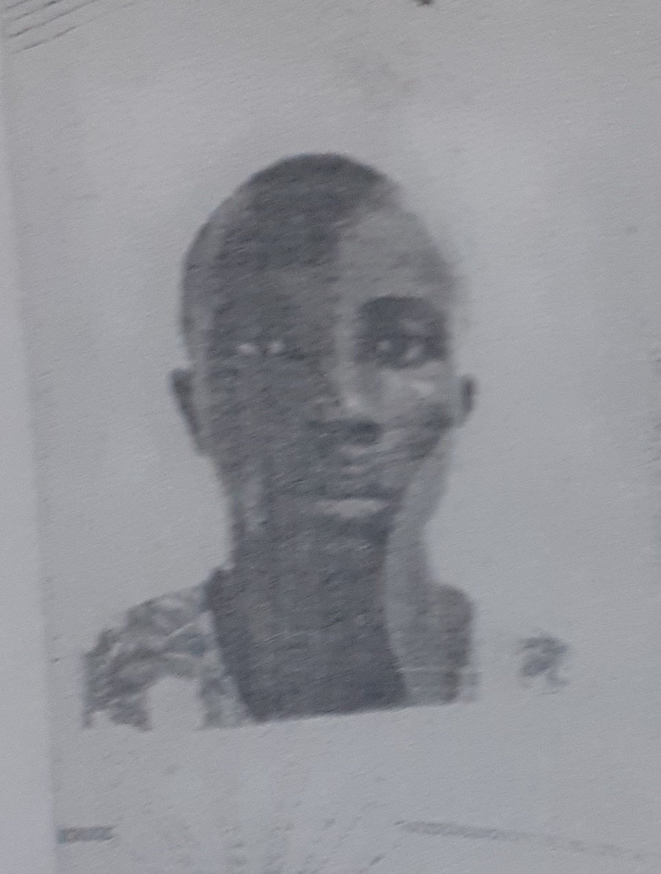 JOS&Eacute; IAL&Aacute; FONT&Aacute;