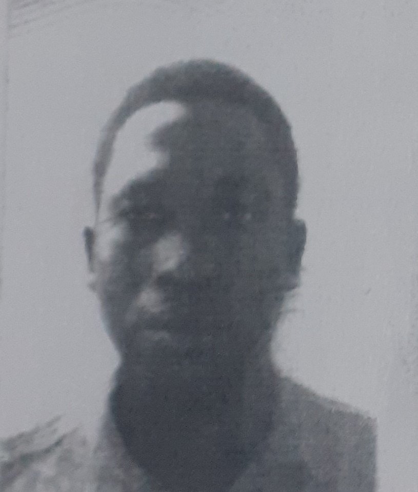 DABANA LU&Iacute;S PEREIRA