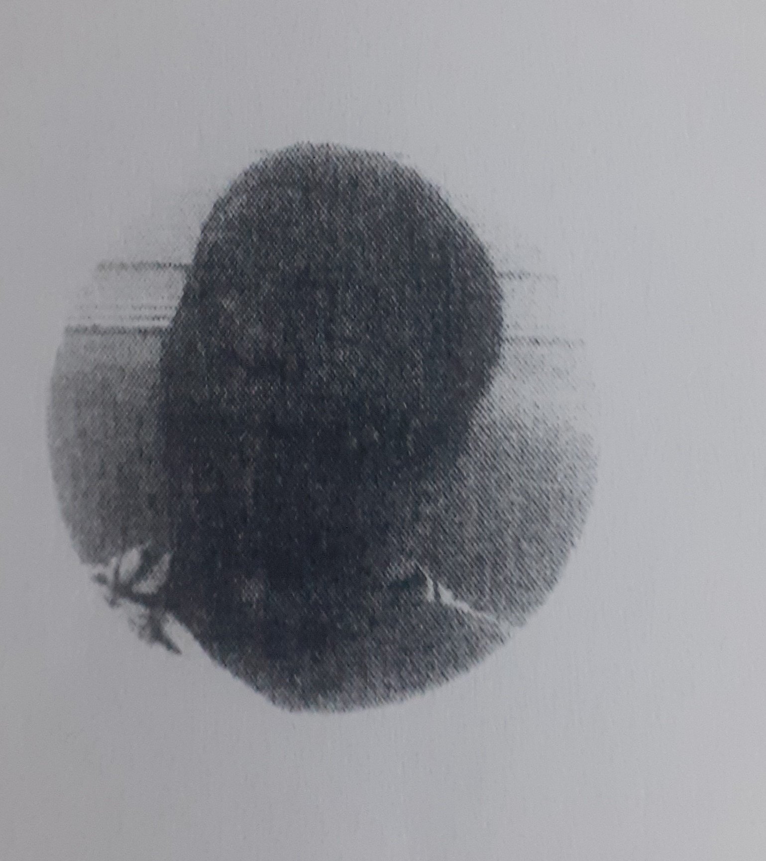 BENJAMIM CARLITOS INDI